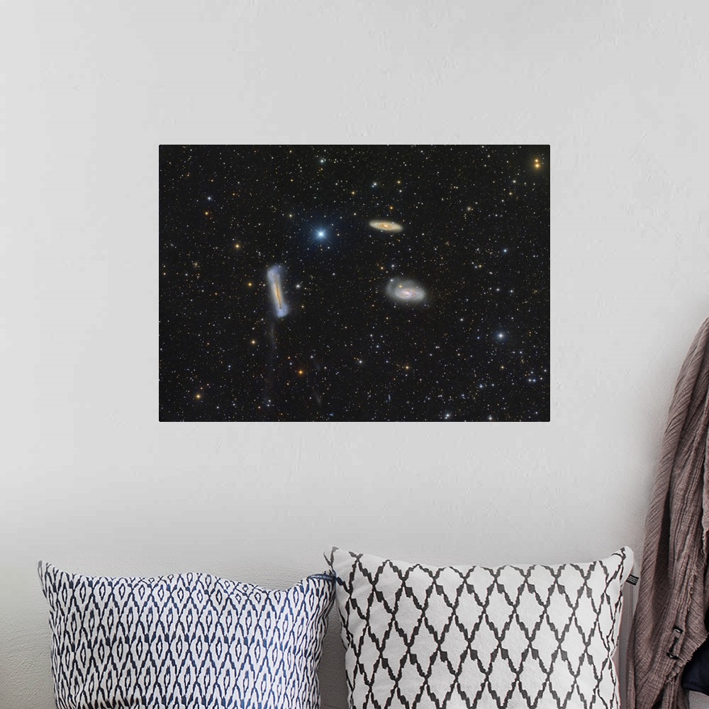 A bohemian room featuring The Leo Triplet