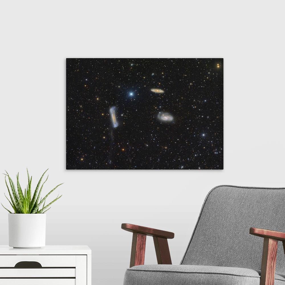 A modern room featuring The Leo Triplet