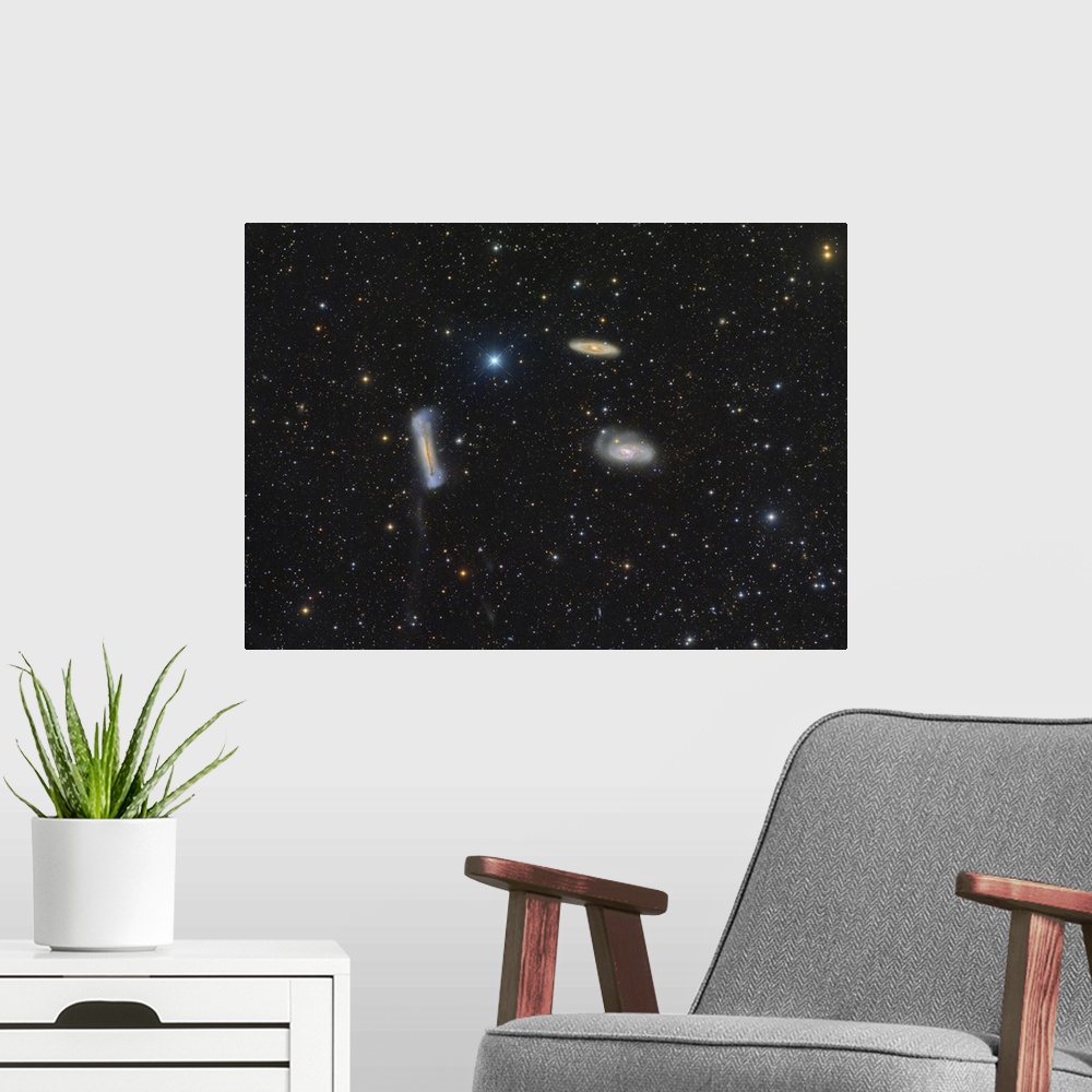A modern room featuring The Leo Triplet