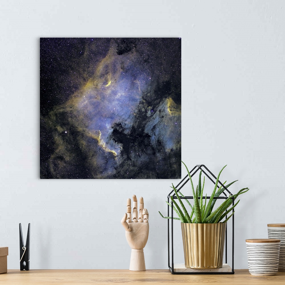 A bohemian room featuring The North America Nebula and the Pelican Nebula in the constellation Cygnus