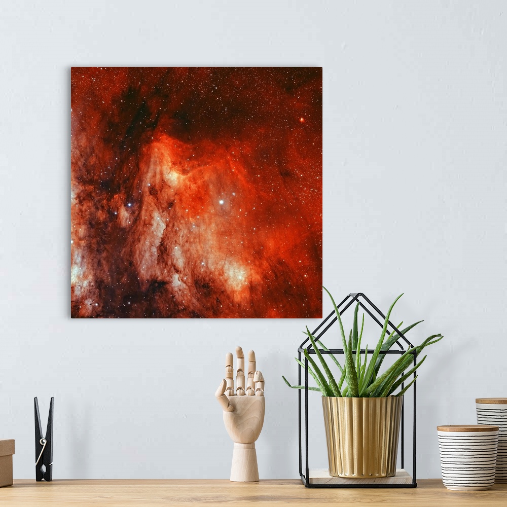 A bohemian room featuring IC 5070, the Pelican Nebula.