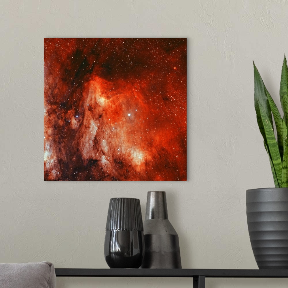 A modern room featuring IC 5070, the Pelican Nebula.