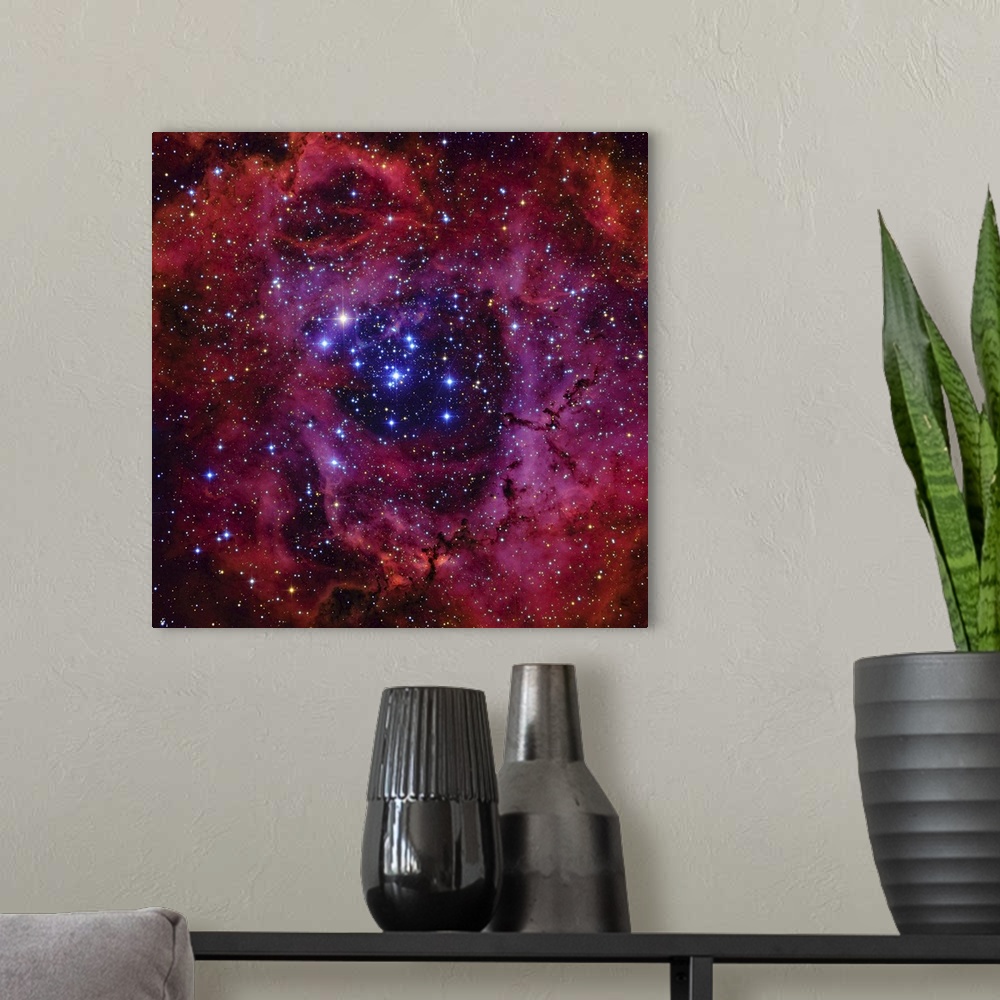 A modern room featuring The Rosette Nebula