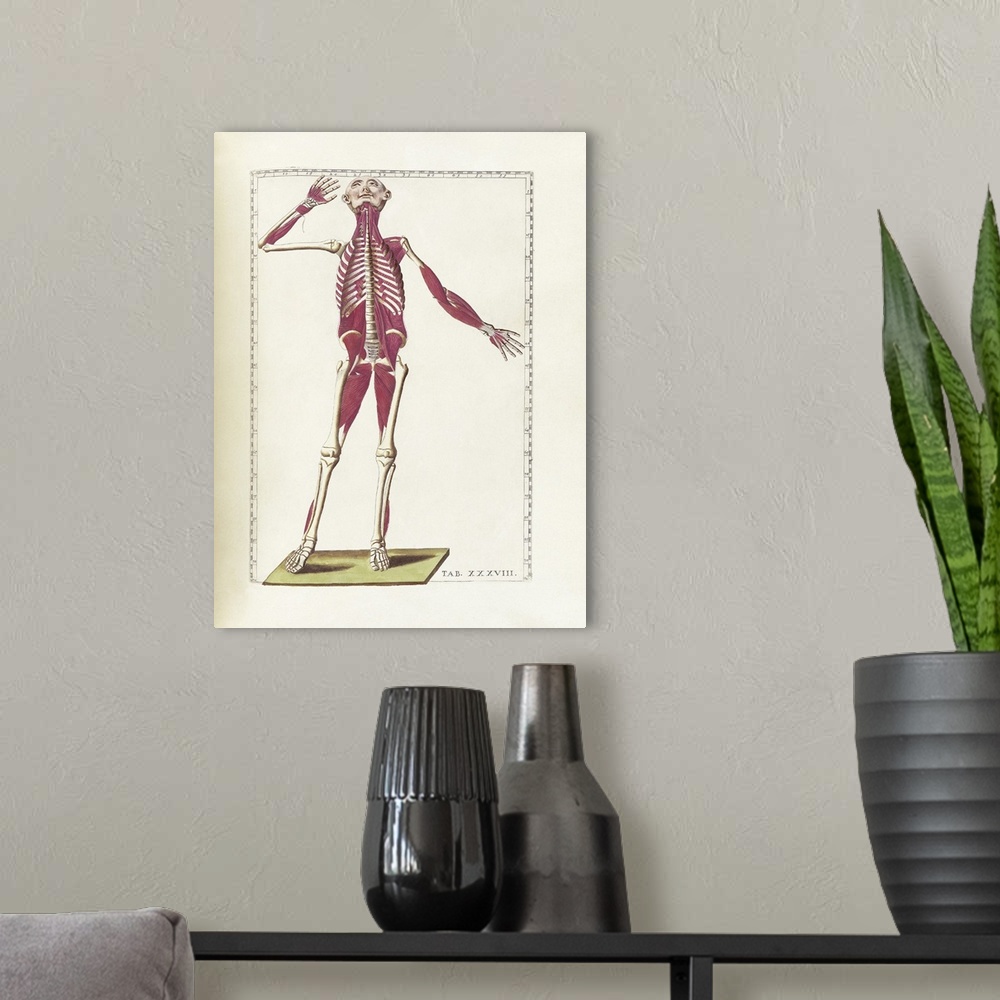 A modern room featuring The science of human anatomy by Bartholomeo Eustachi.
