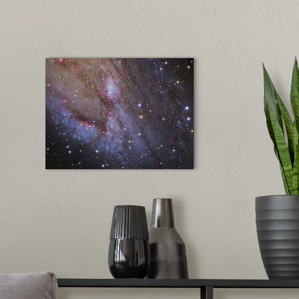 A modern room featuring The southwest spiral arm of Messier 31.