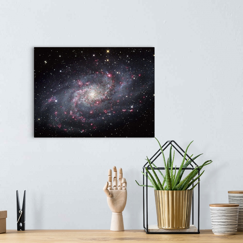 A bohemian room featuring The Triangulum Galaxy, also known as Messier 33 or NGC 598, is a spiral galaxy about 3.14 million...