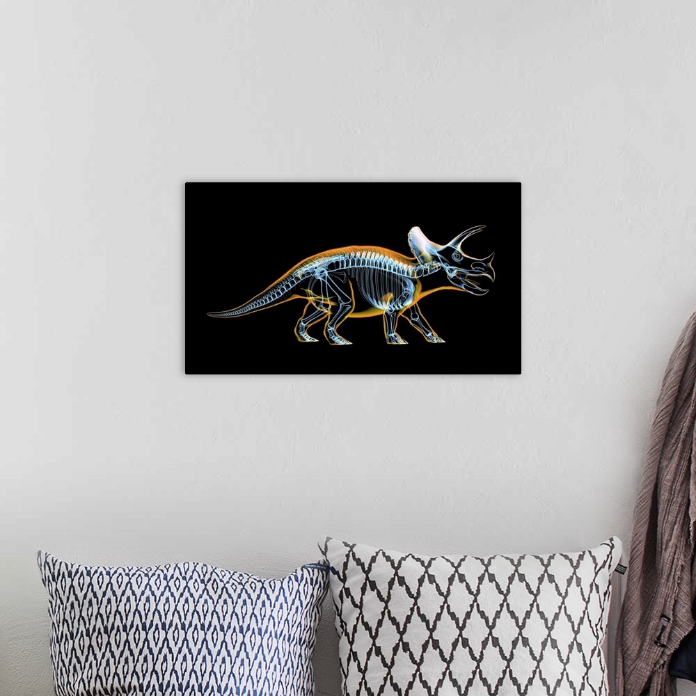 A bohemian room featuring Triceratops skeleton with x-ray effect.