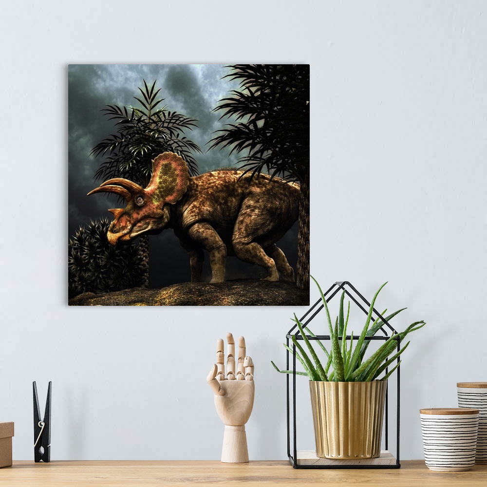 A bohemian room featuring Triceratops was a herbivorous dinosaur from the Cretaceous period.