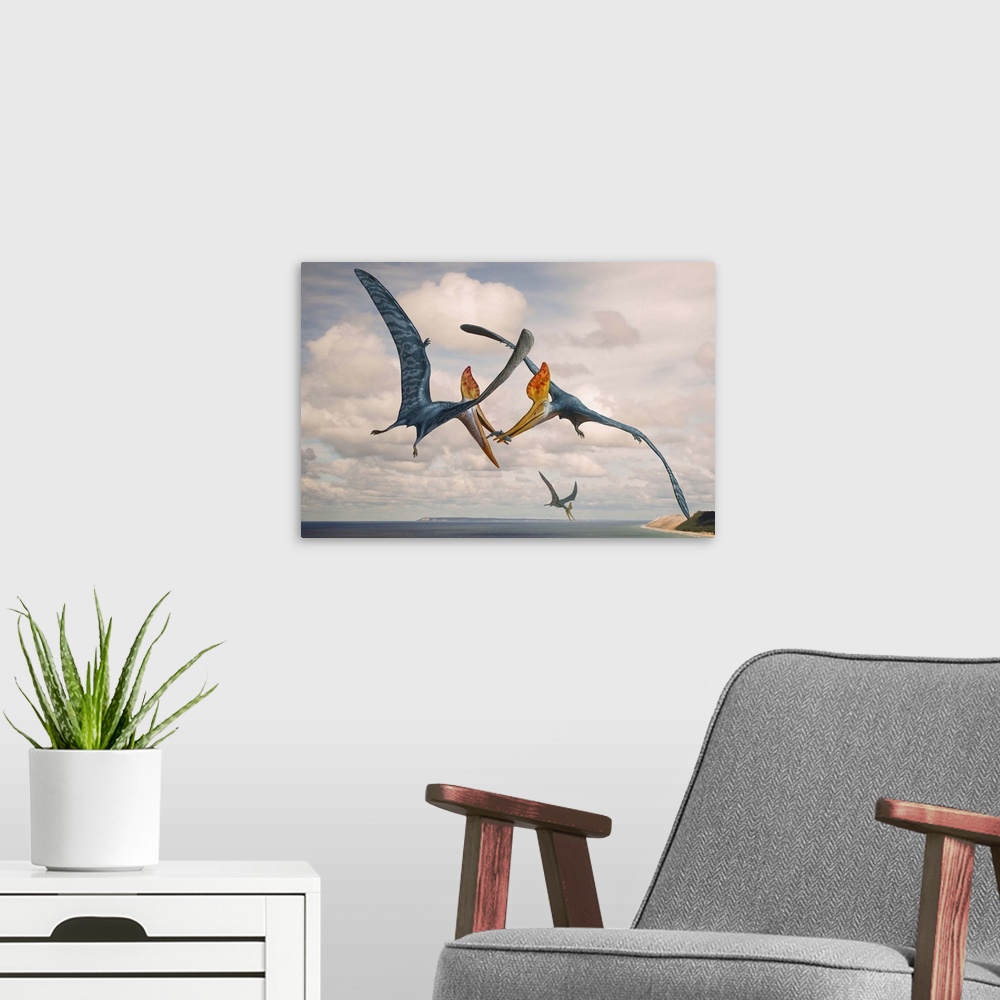 A modern room featuring Two Geosternbergia pterosaurs fighting over small fish.