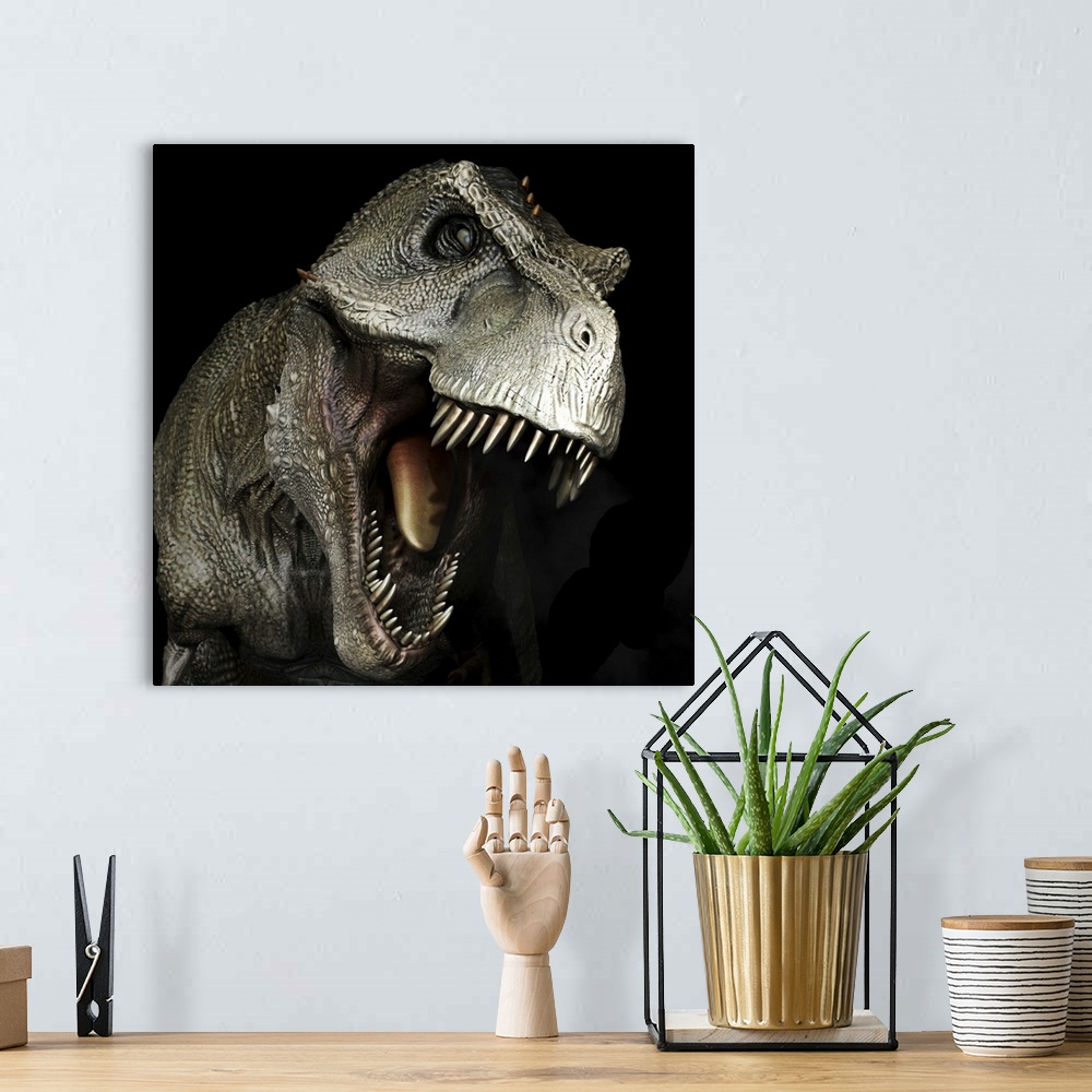 A bohemian room featuring Tyrannosaurus rex dinosaur head, front view.