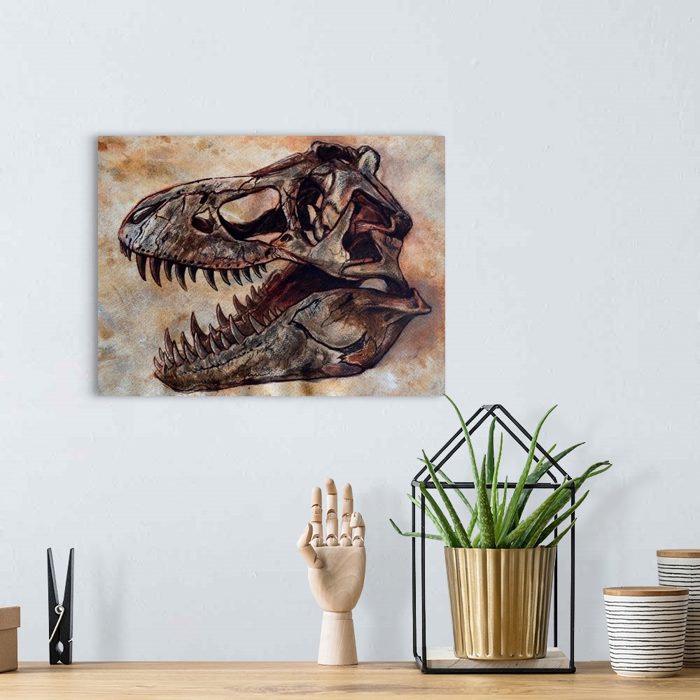 A bohemian room featuring Tyrannosaurus rex dinosaur skull on textured background.