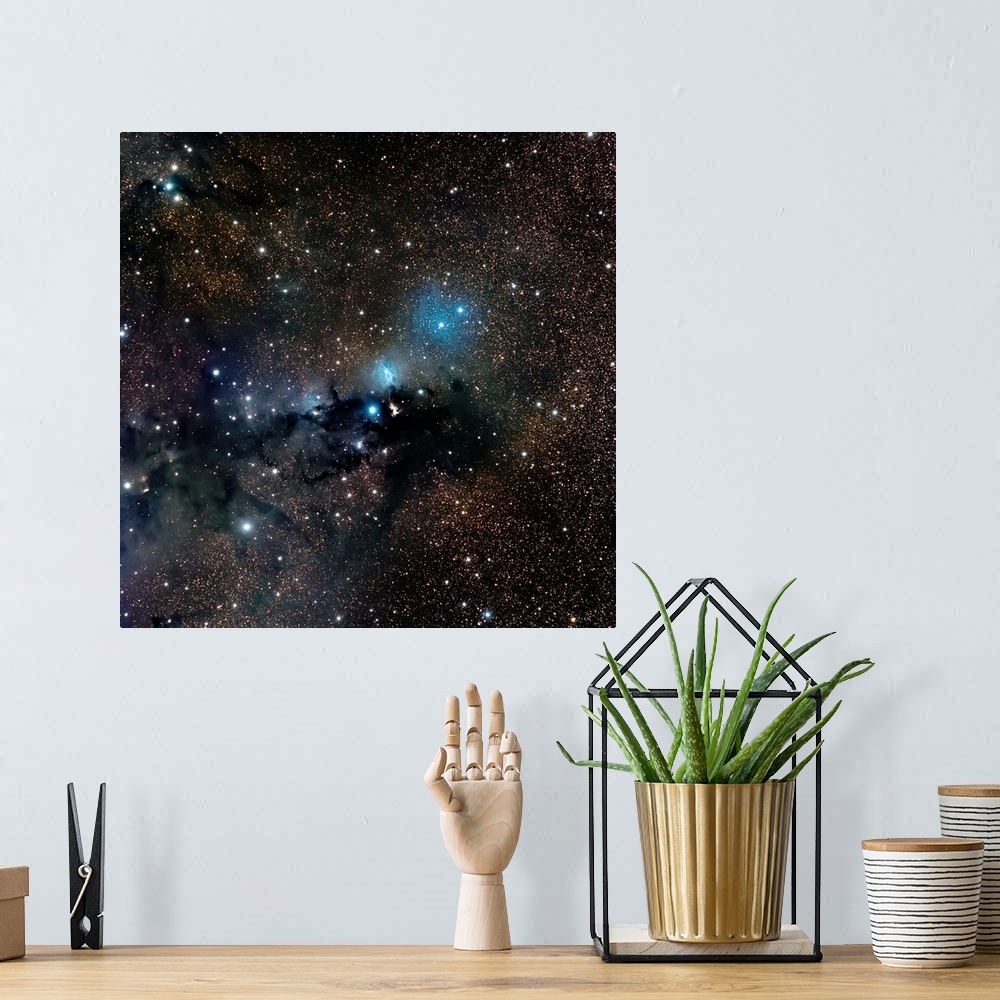 A bohemian room featuring VdB 123 reflection nebula in the constellation Serpens.