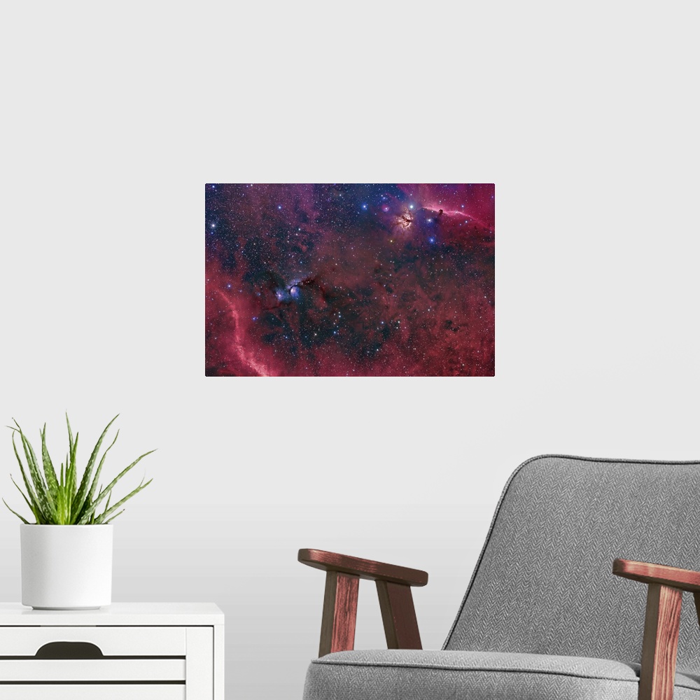 A modern room featuring This widefield view in the Orion constellation contains the Horsehead Nebula, Flame Nebula, M78, ...