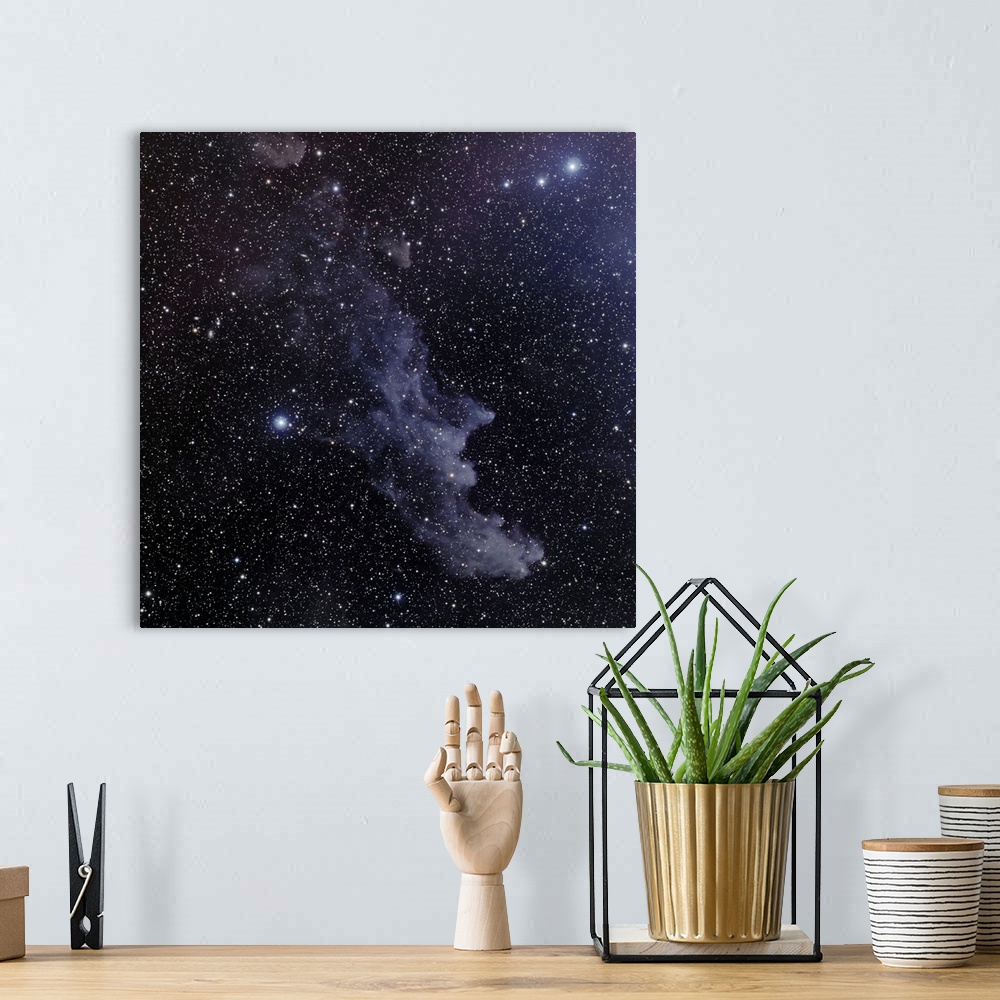 A bohemian room featuring Witch Head Nebula