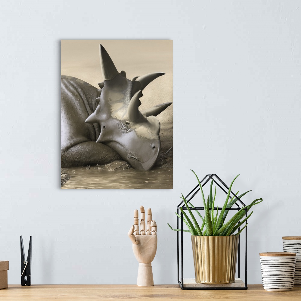 A bohemian room featuring Xenoceratops foremostensis relaxing in a mud puddle.