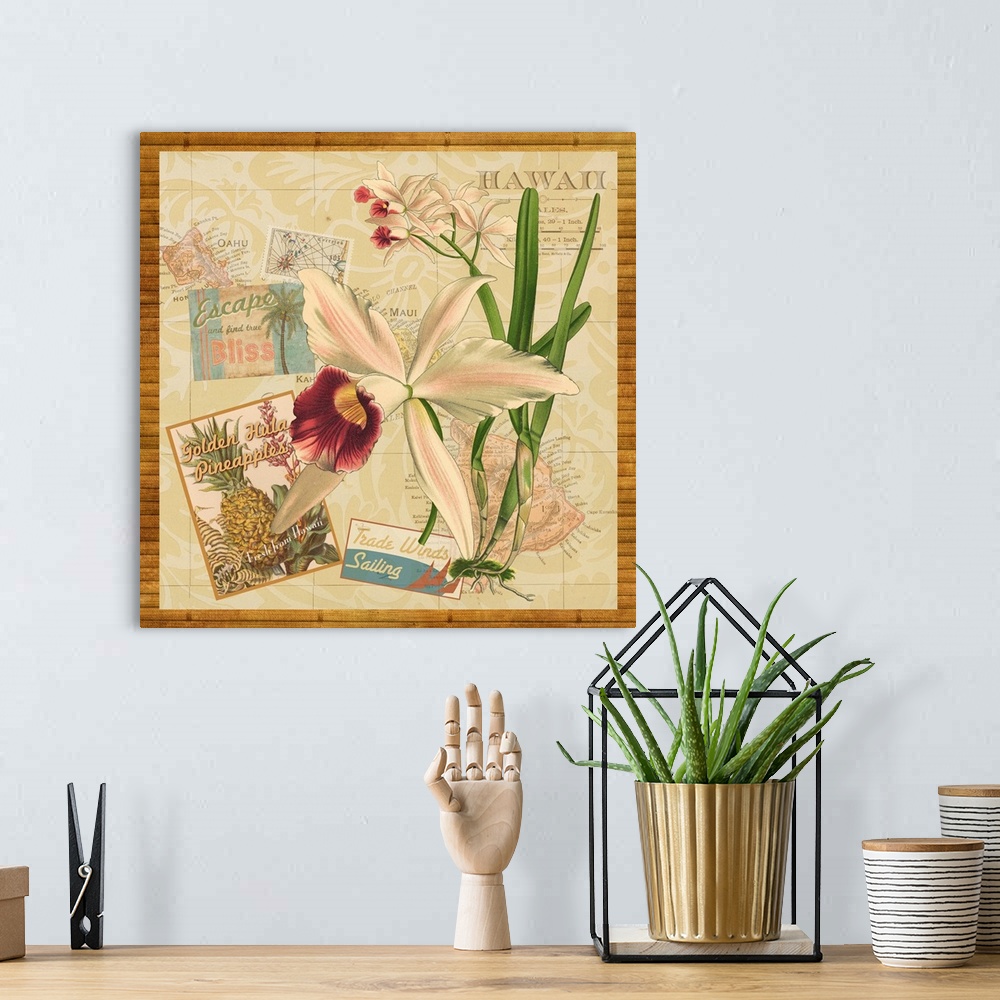 A bohemian room featuring Hawaiian-themed collection of vintage illustrations.