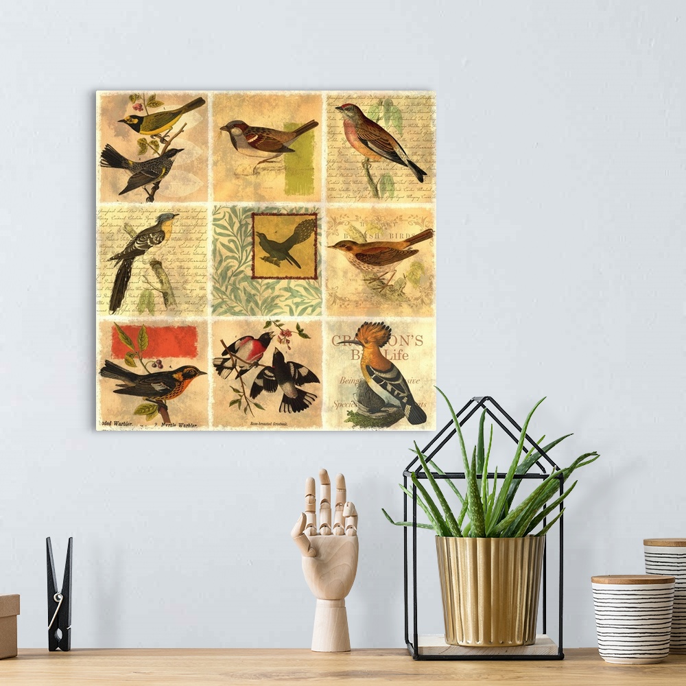 A bohemian room featuring Bird List I