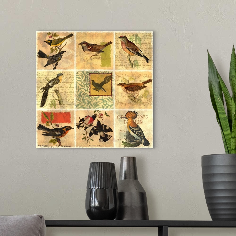 A modern room featuring Bird List I