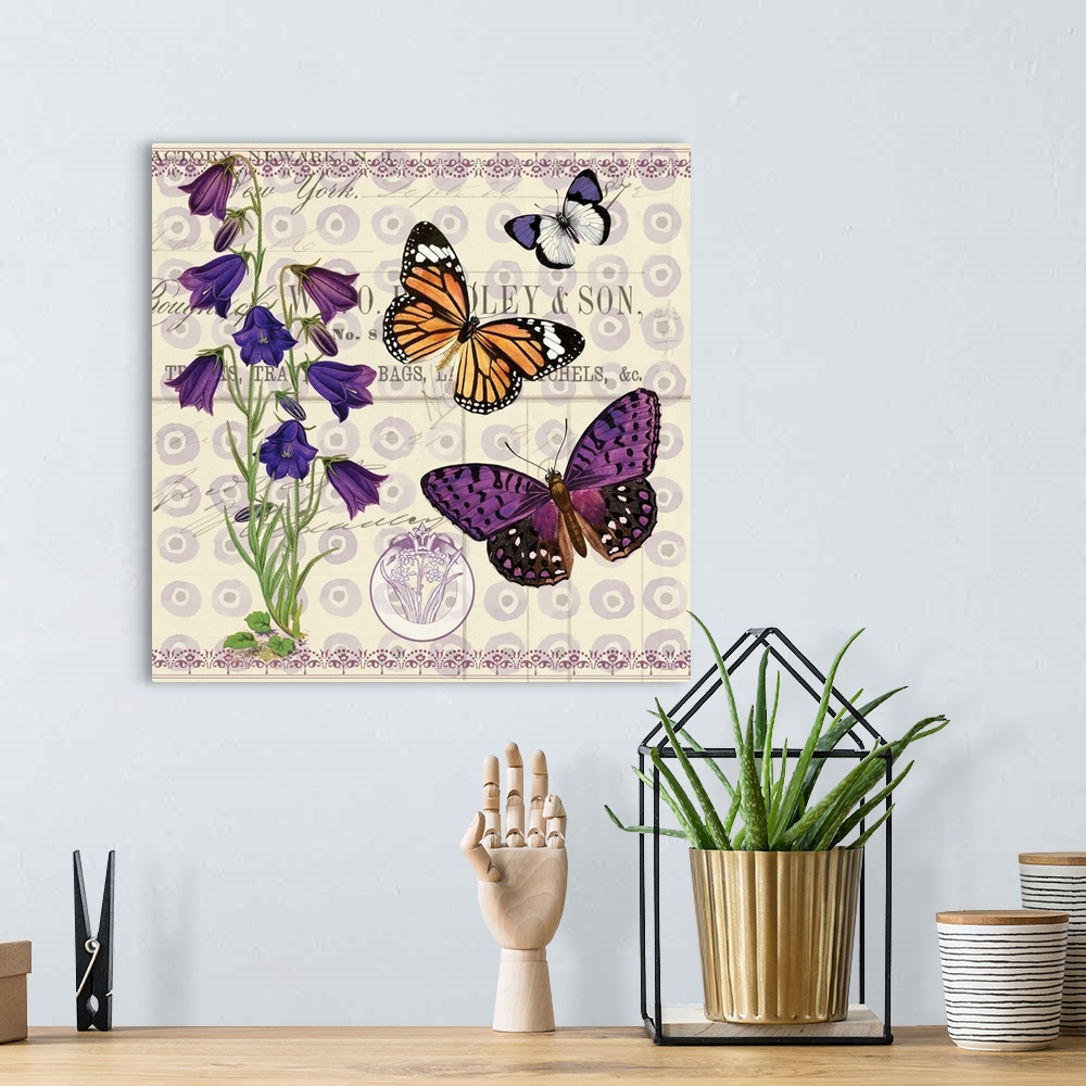 A bohemian room featuring Butterfly Botanical I