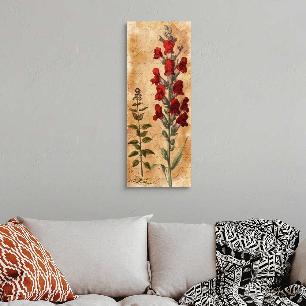 A bohemian room featuring Illustration of a snapdragon with red flowers.
