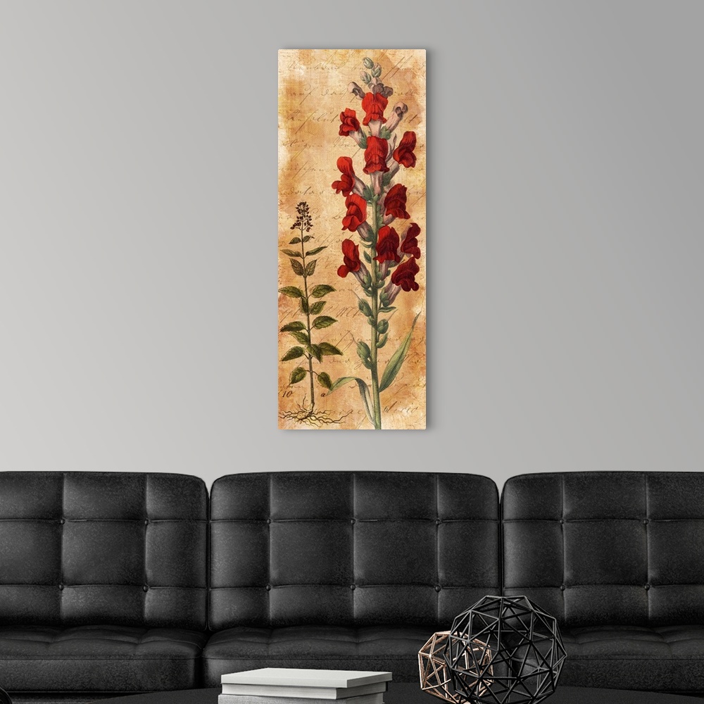 A modern room featuring Illustration of a snapdragon with red flowers.
