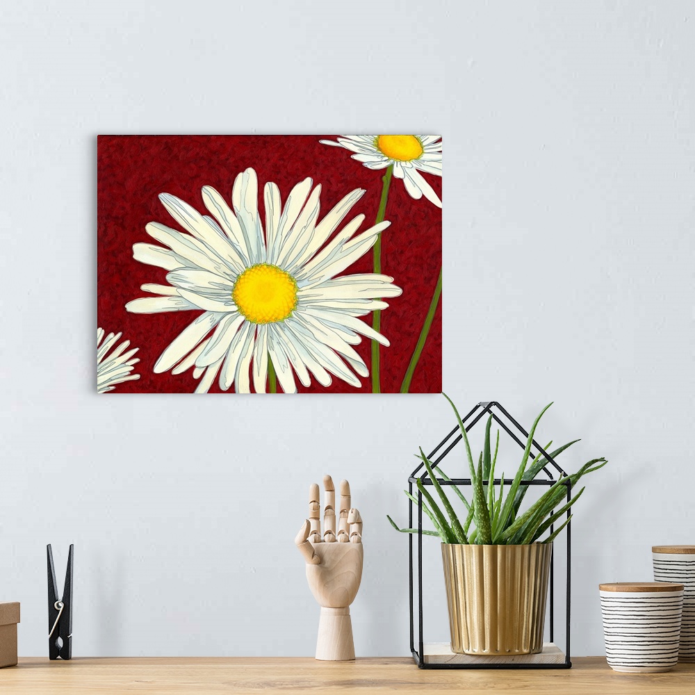 A bohemian room featuring White daisies on a deep red background.