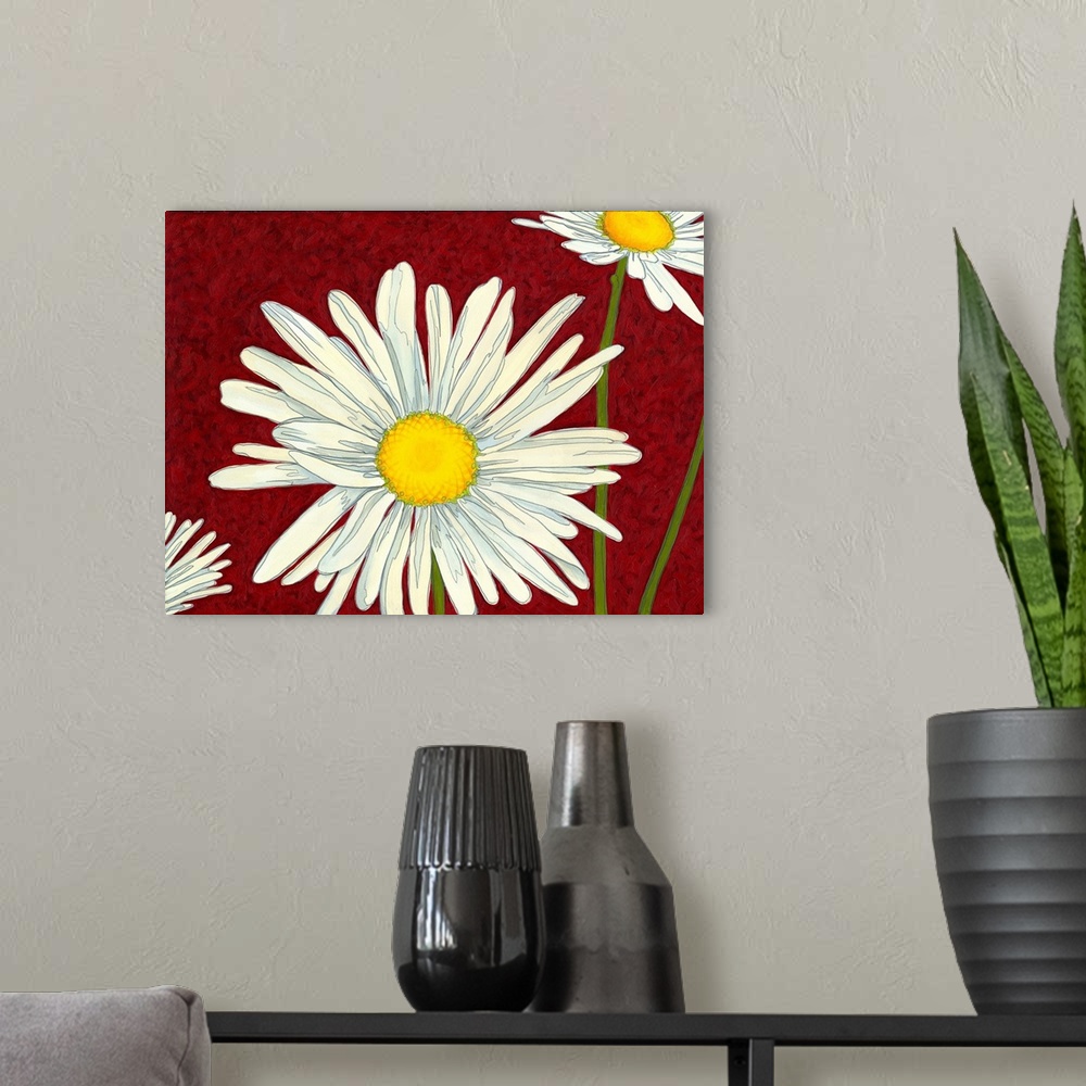 A modern room featuring White daisies on a deep red background.