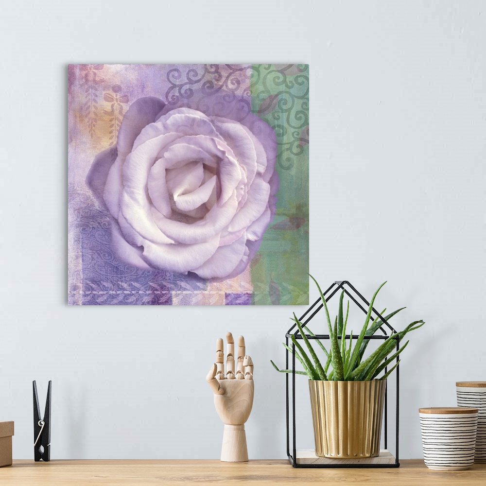 A bohemian room featuring Lavender Rose I