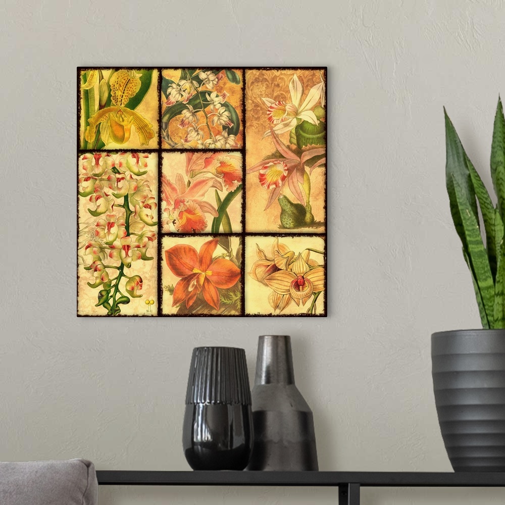 A modern room featuring Orchid Patchwork II