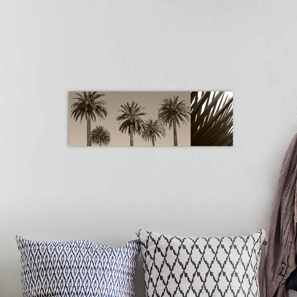 A bohemian room featuring Palm Montage