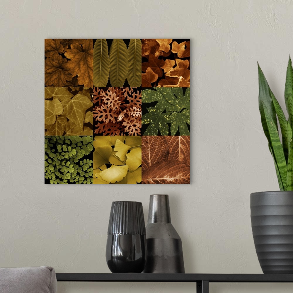 A modern room featuring Photo Leaf Montage I