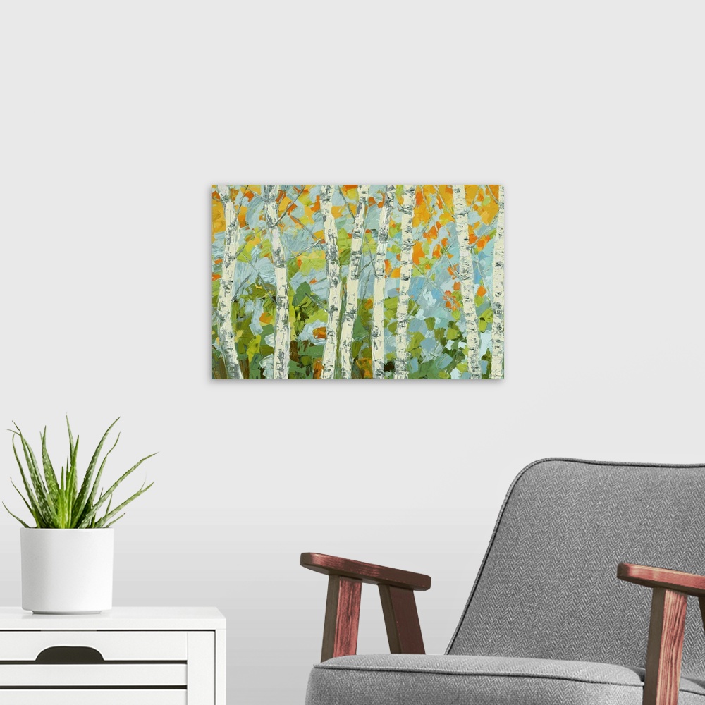A modern room featuring A group of birch trees with colorful autumn leaves.