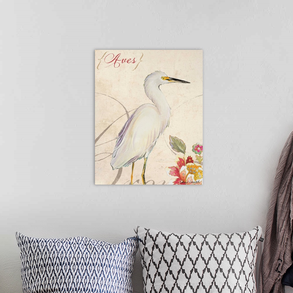A bohemian room featuring Aves II