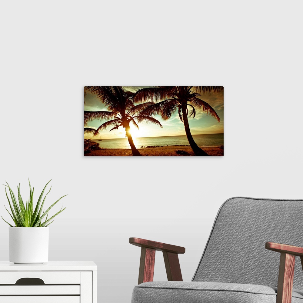 A modern room featuring Panoramic photograph of beach in the Bahamas at dusk with huge palm tress in the foreground.   Th...