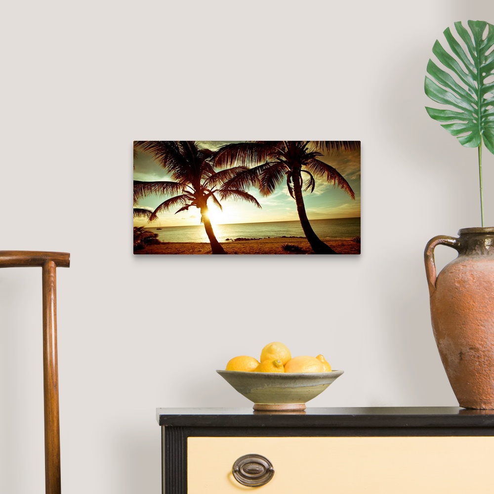 A traditional room featuring Panoramic photograph of beach in the Bahamas at dusk with huge palm tress in the foreground.   Th...
