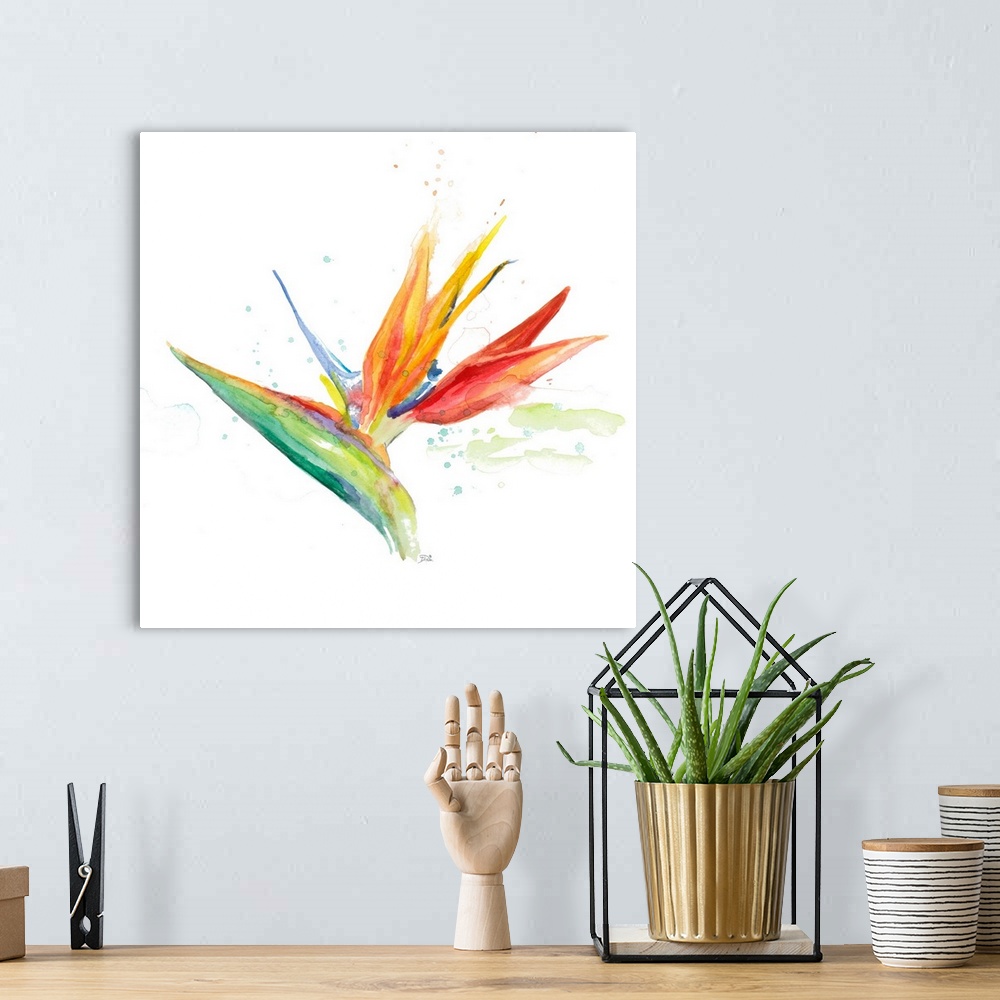 A bohemian room featuring Contemporary artwork featuring a tropical watercolor flower with paint splatters over a white bac...