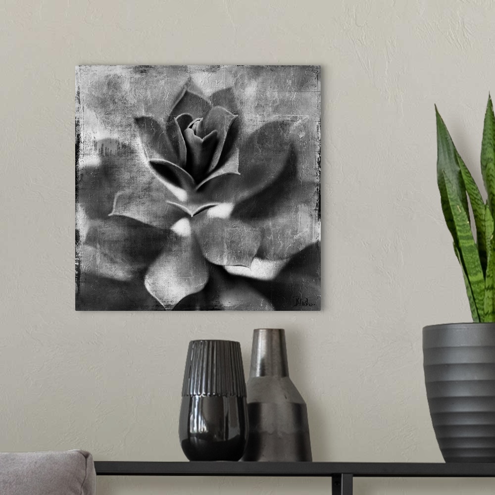 A modern room featuring Black and White Succulent Border I