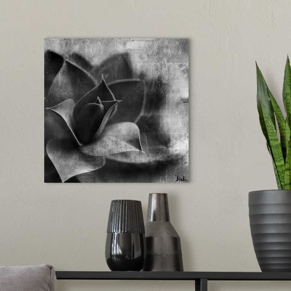 A modern room featuring Black and White Succulent Border II