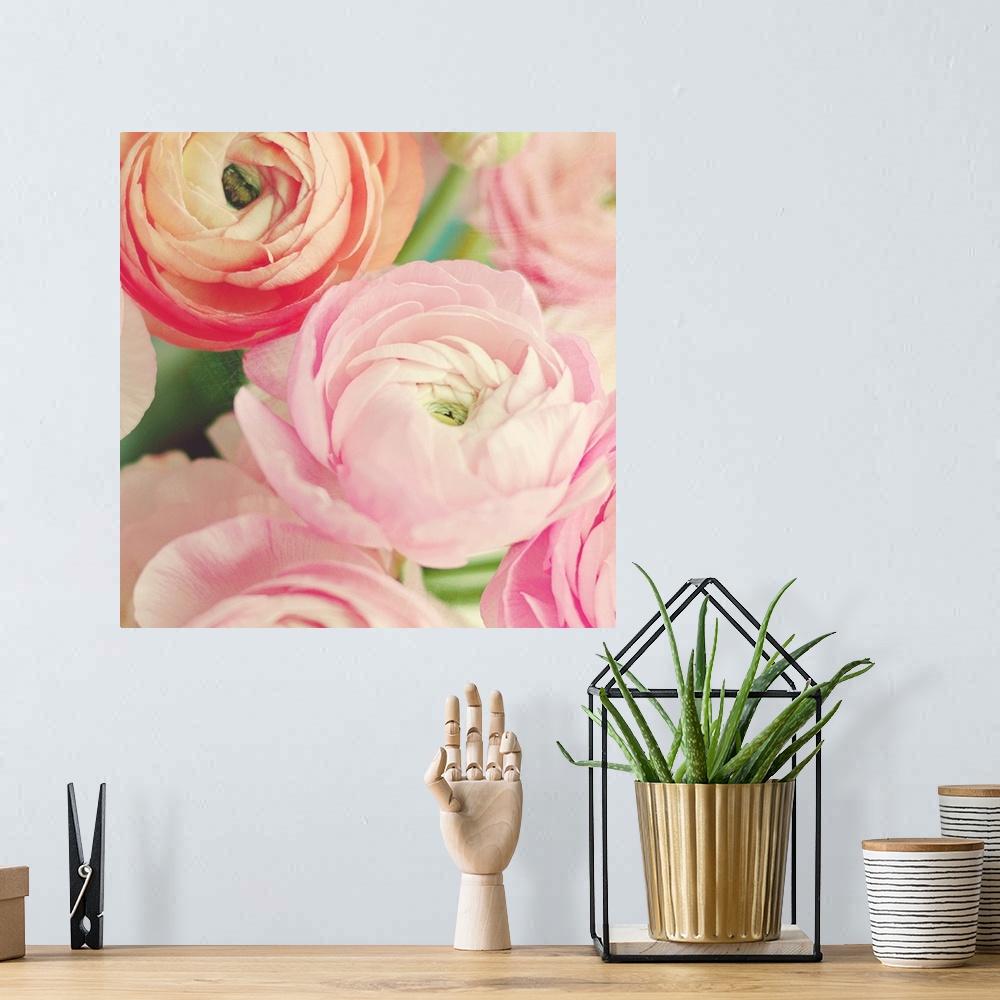 A bohemian room featuring Blushing Blossoms Square II