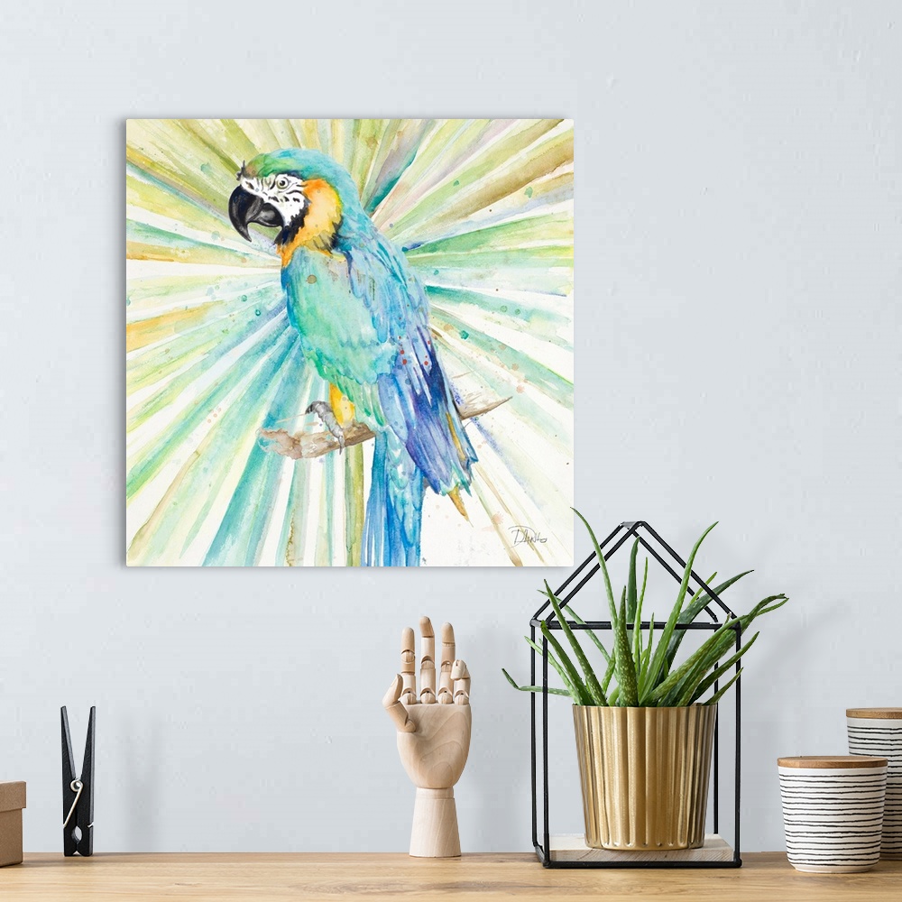 A bohemian room featuring Bright Tropical Parrot