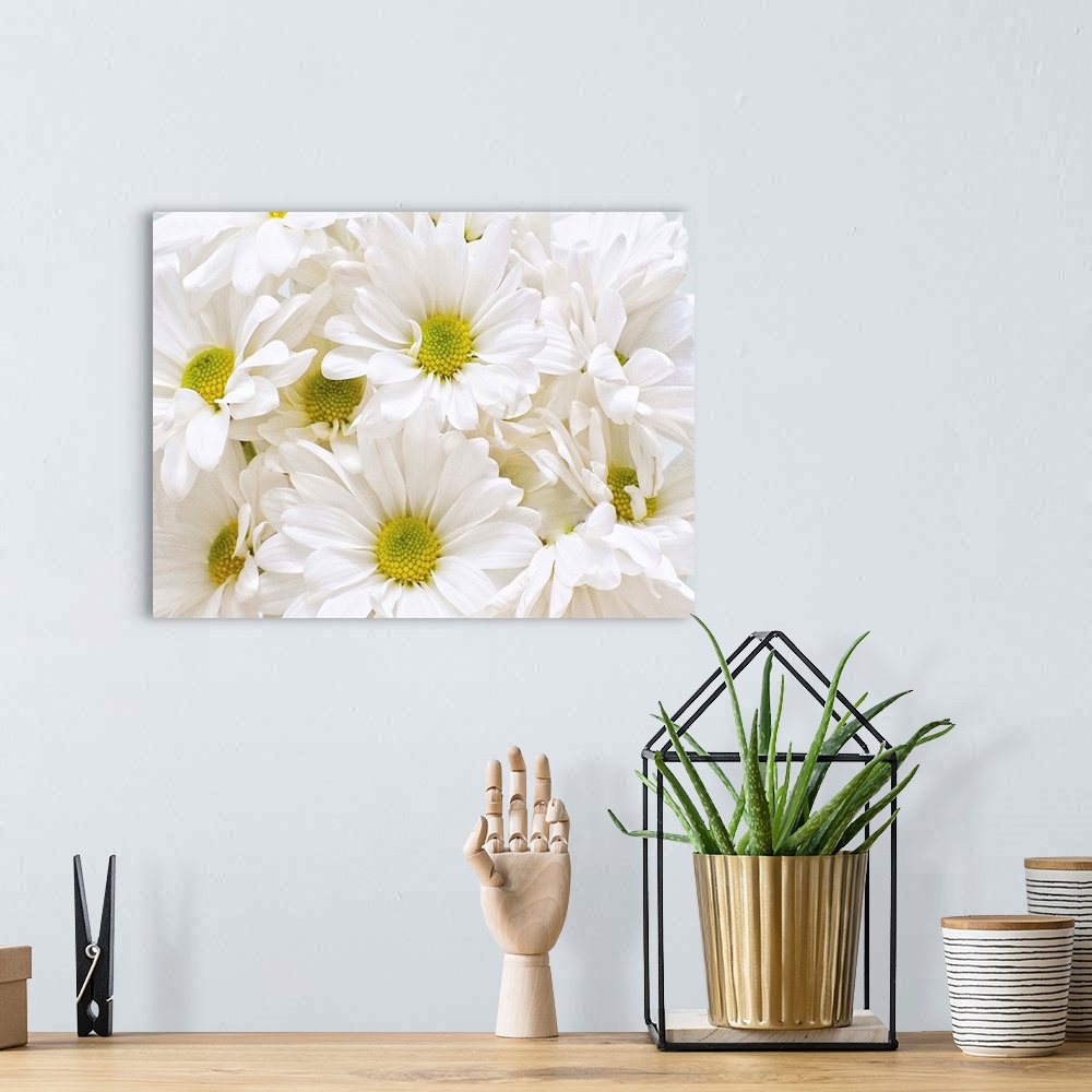 A bohemian room featuring Bunch of White Daisies