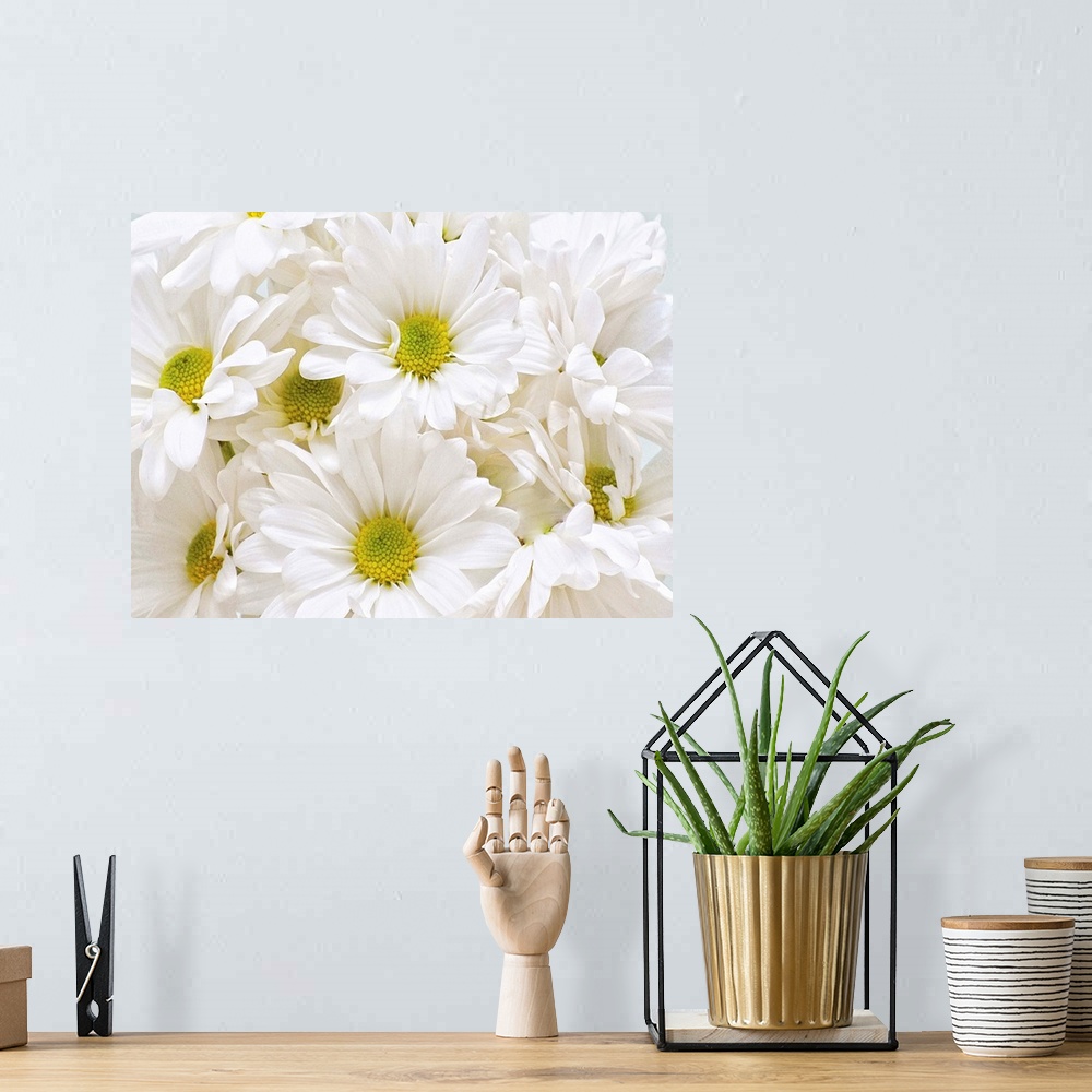 A bohemian room featuring Bunch of White Daisies