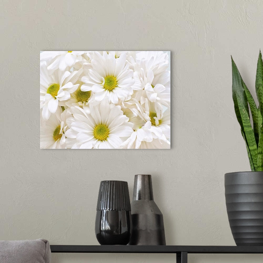 A modern room featuring Bunch of White Daisies