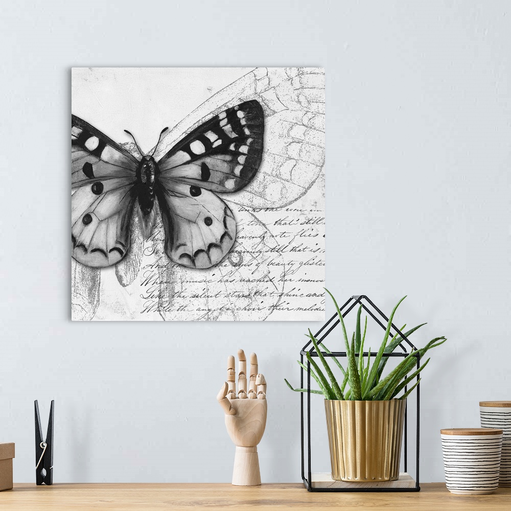 A bohemian room featuring Butterfly Studies I