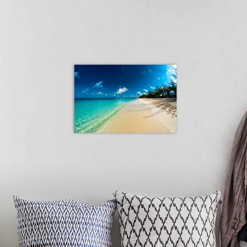 A bohemian room featuring A photograph of a seashore on the Cayman Islands with crystal clear water.