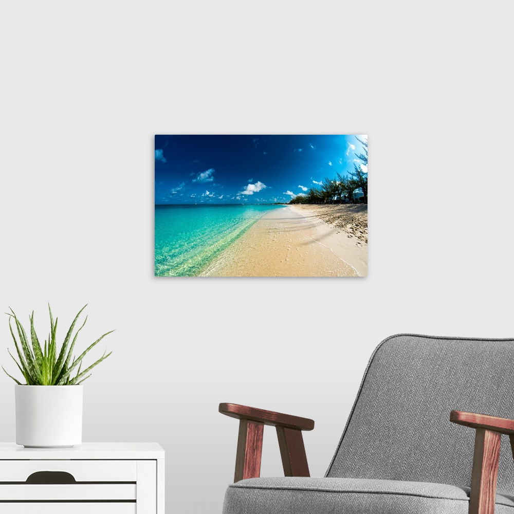 A modern room featuring A photograph of a seashore on the Cayman Islands with crystal clear water.