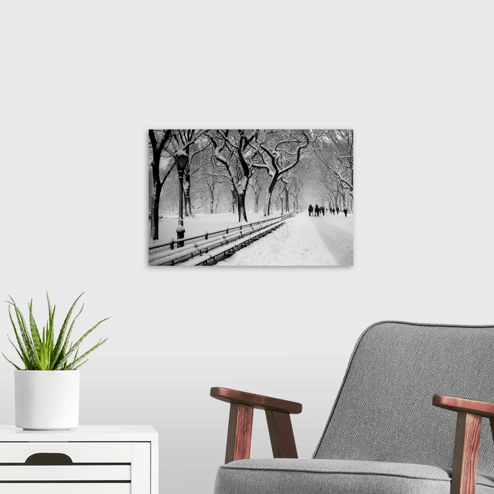 A modern room featuring People walking along a snow-covered walkway under the trees in Central Park, New York.