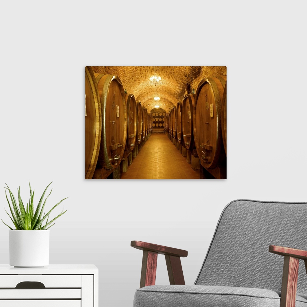 A modern room featuring This interior photograph looking down a corridor in a wine cellar filled with massive casks of wine.