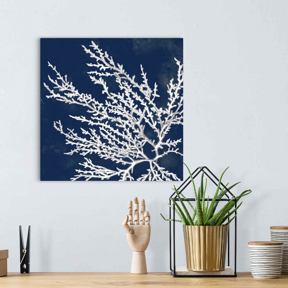 A bohemian room featuring A drawing of coral over a dark ink washes in this square decorative wall art.