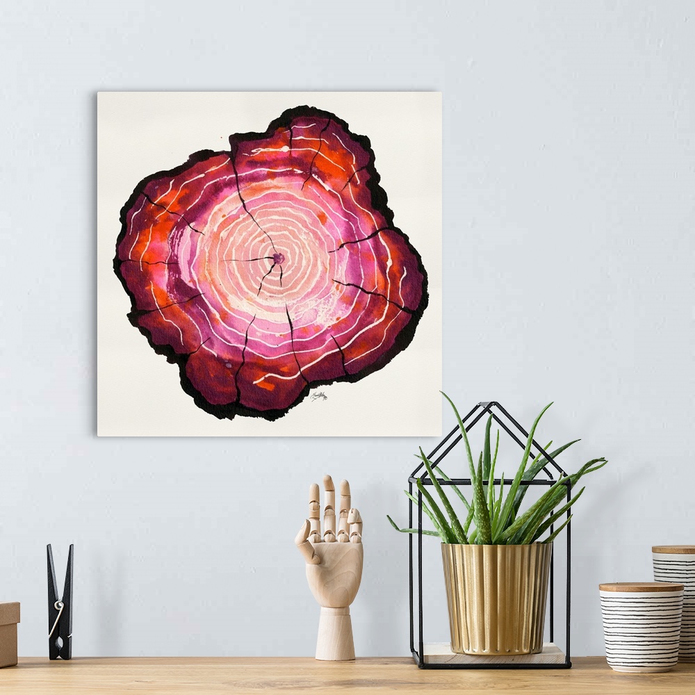 A bohemian room featuring Square watercolor painting of a tree trunk in shades of pink with white tree rings.